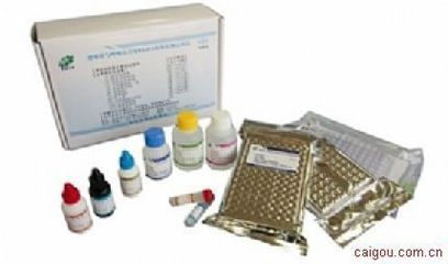 兔6酮前列腺素F1a（6-keto-PGF1a）ELISA試劑盒 實(shí)驗(yàn)室耗材與生化儀器專用配件詳解